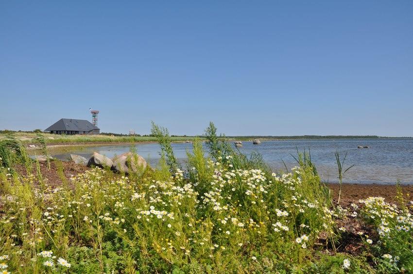 Harbor House Lomala 게스트하우스 외부 사진